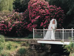 The Wedding Bridge